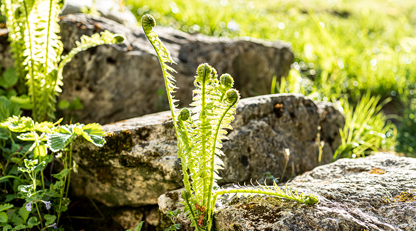 JonaschGebler_2021_840_web